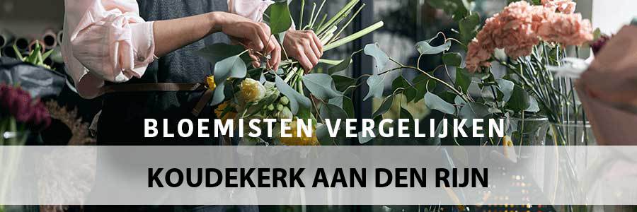 bloemen-bezorgen-koudekerk-aan-den-rijn-2396
