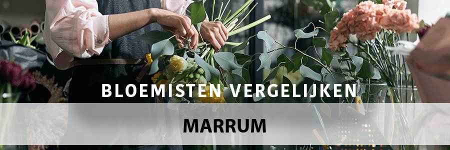 bloemen-bezorgen-marrum-9073