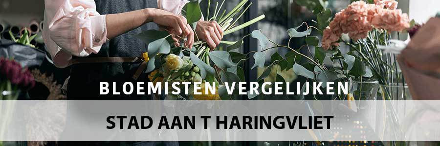 bloemen-bezorgen-stad-aan-t-haringvliet-3243